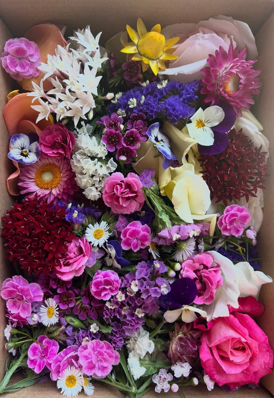 Garnish Flowers - WSK